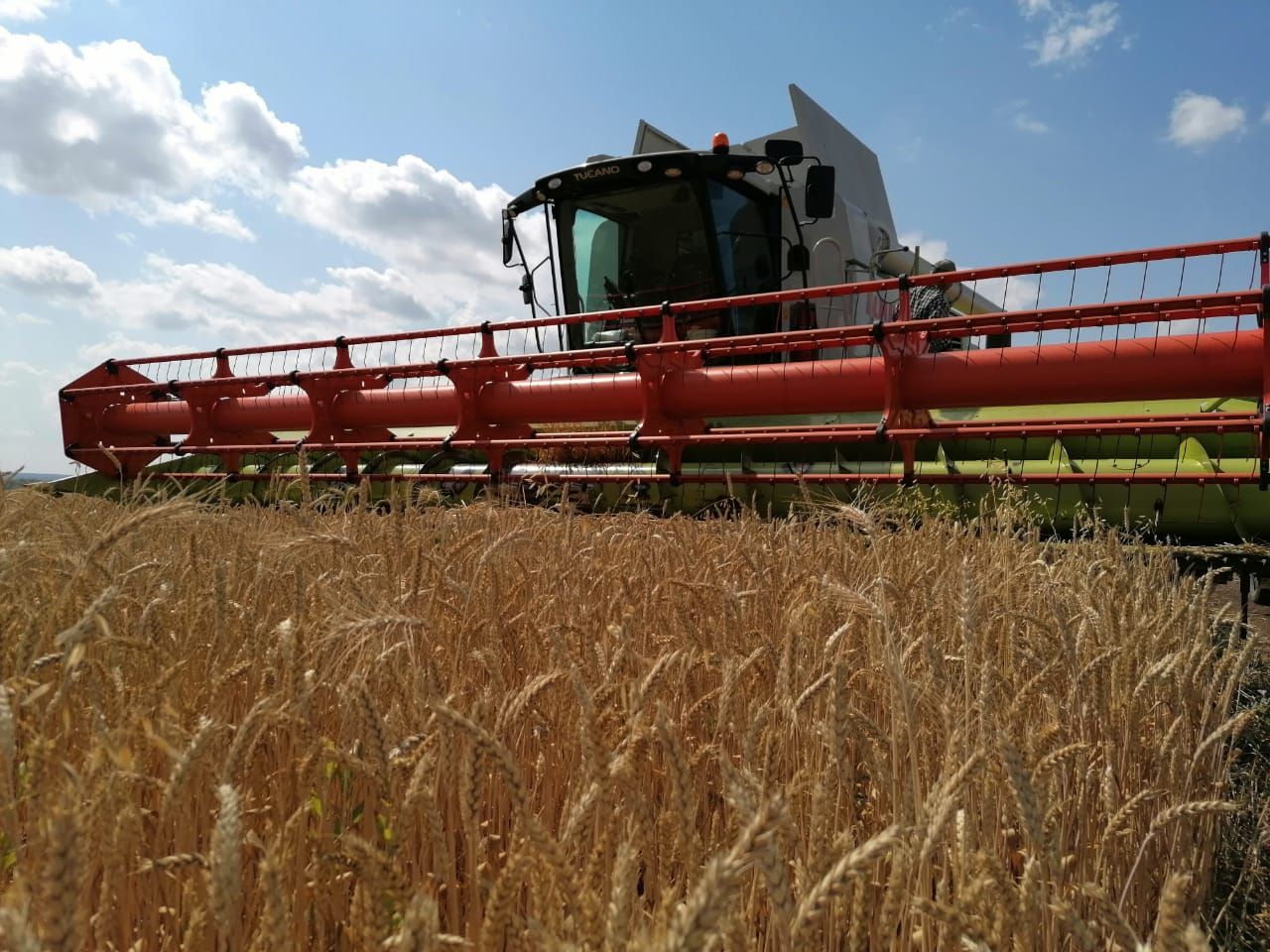 2022-yil yakunlariga ko'ra" avgust-Agro " UK xo'jaliklarida hosil hajmi 500 ming tonna darajasida kutilmoqda
