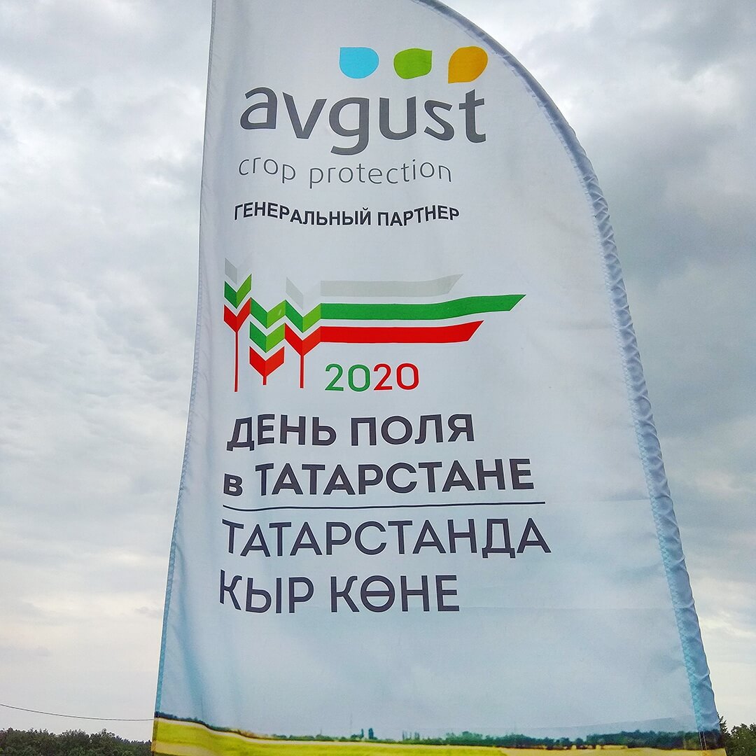 Tataristonda dala kuni-2020