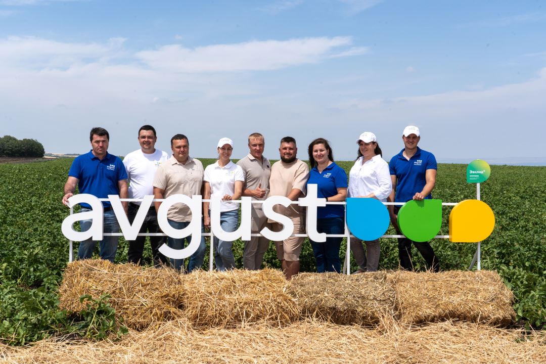 Avgust Stavropoldagi kartoshka yetishtiruvchilar uchun dala kunining hamkori bo'ldi