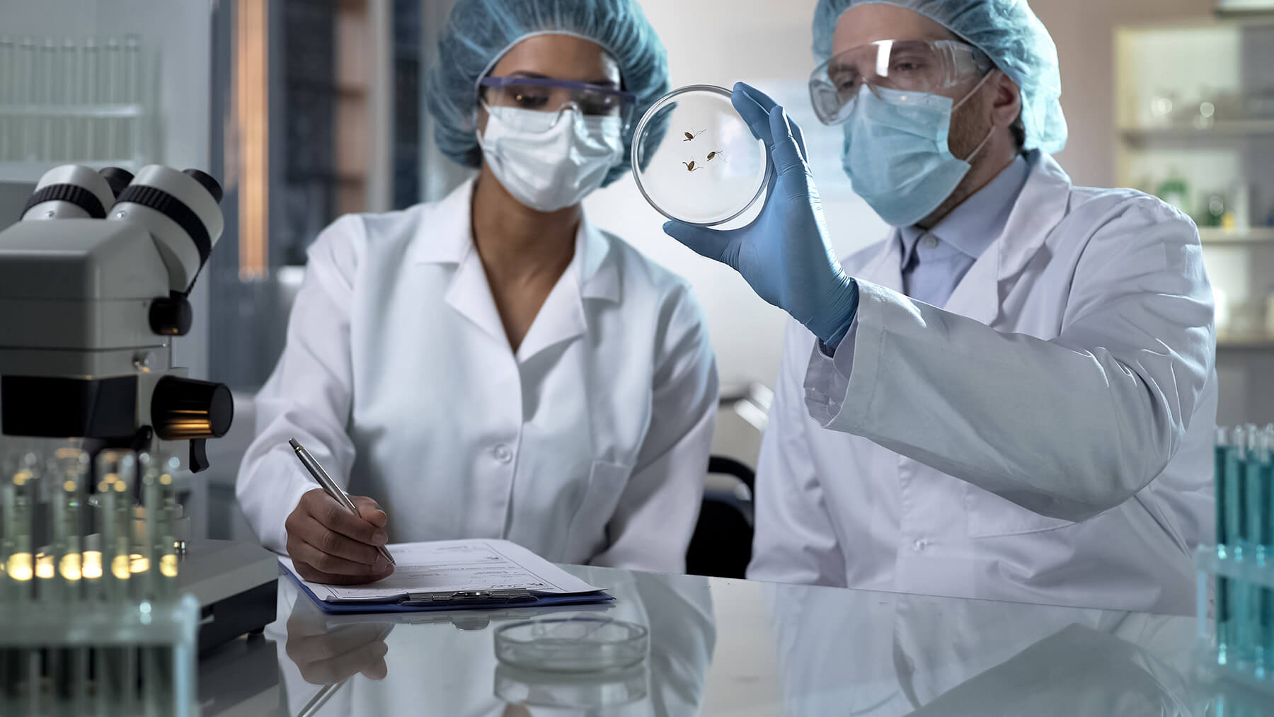 Avgust innovatsion insektitsidlarni ishlab chiqish uchun yangi laboratoriya yaratdi