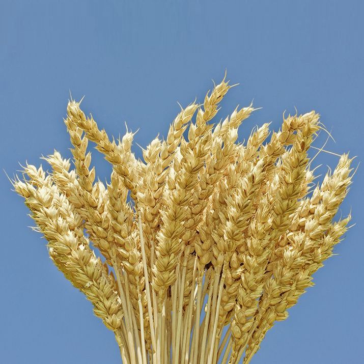 "Avgust-Kamskoe Estuary"