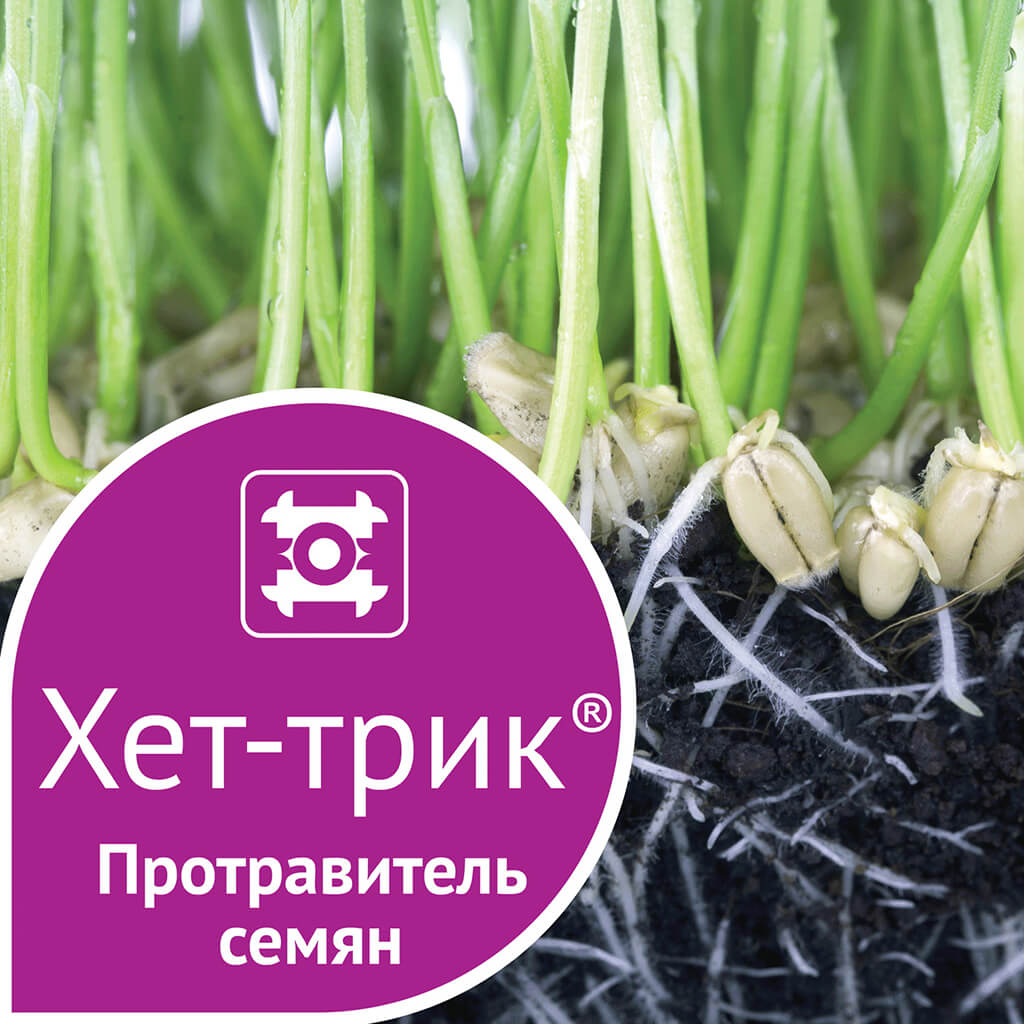 Xet-trik ® insektitsid-fungitsid urug'ini tozalash vositasi ro'yxatga olingan! 