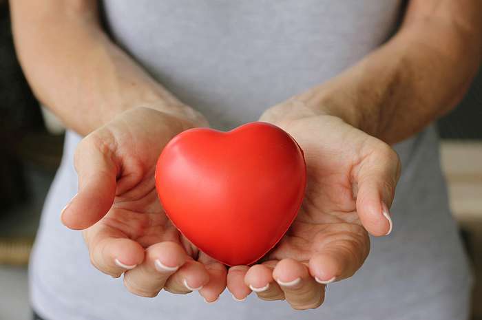 Hududlarni obodonlashtirish