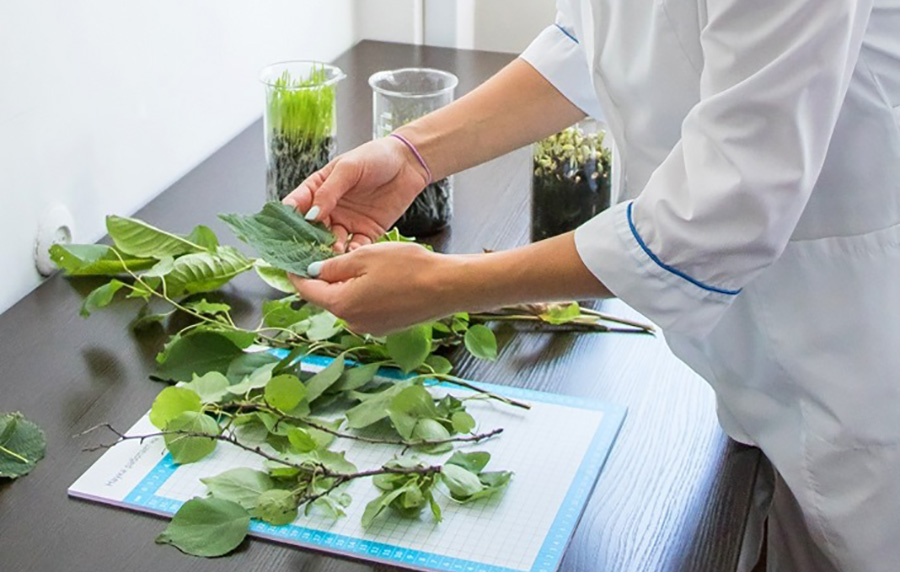 Yangi "Augusta" agrolaboratoriyasi Stavropol dehqonlariga hosildorlikni oshirishga yordam beradi