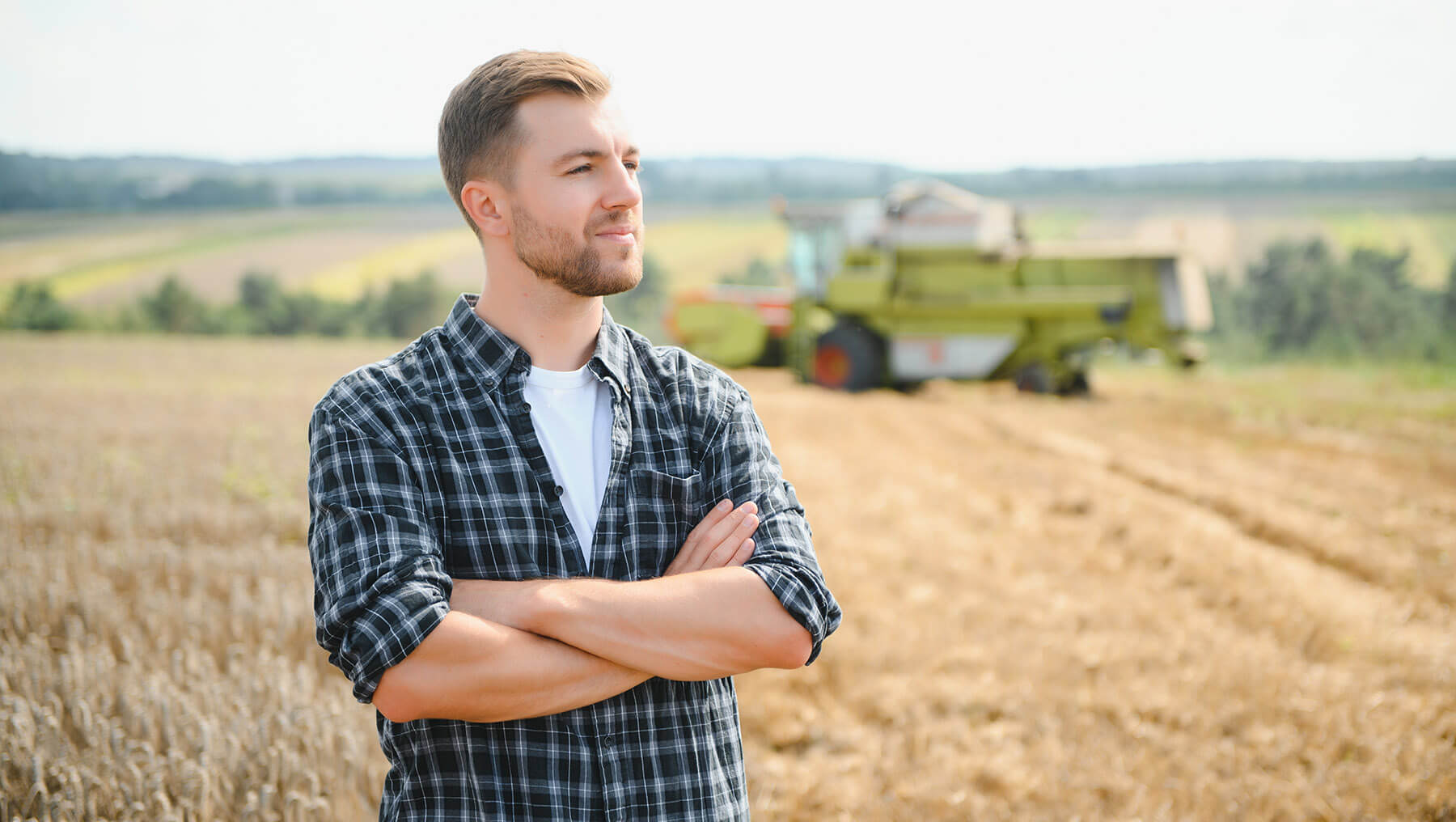 Гляну на село: для развития сельского хозяйства в РФ не хватает кадров, техники и денег